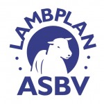 Lambplan