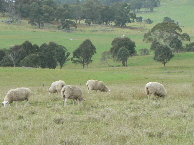 P1060264